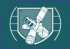 ShieldRayLarge Icon.png